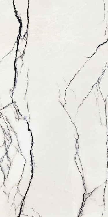 B&W Breach High-Glossy 24 x 48